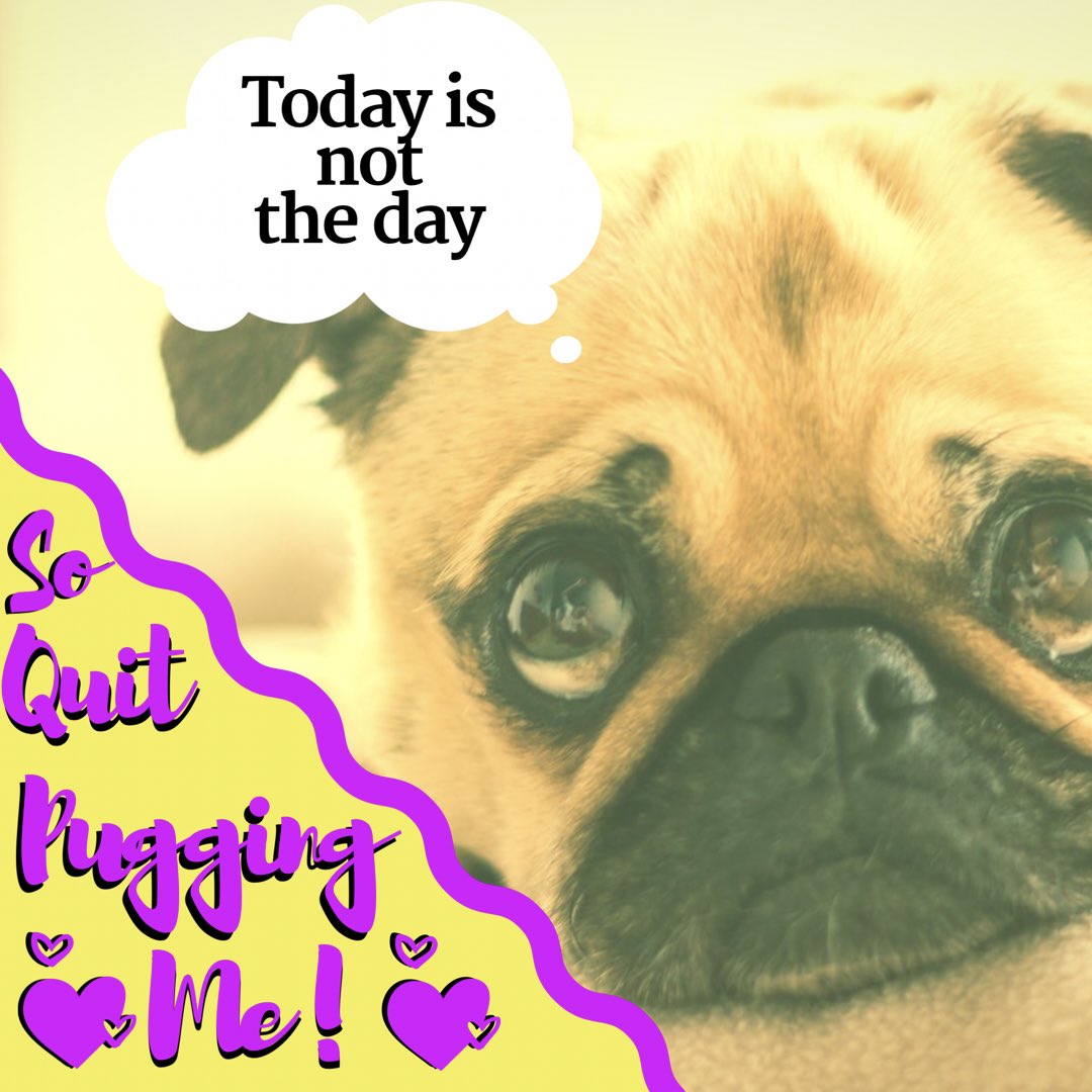 Fetchpet1's tweet photo. #somedays are better than others, and some days you just shouldn't #pug me! #puglife is real, and we're living it! 😂😂 #dogmom #dogmomlife #happyfriday https://t.co/aRYhJ76BHj