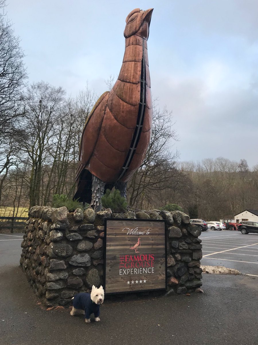 Scotland with Sam tweet media