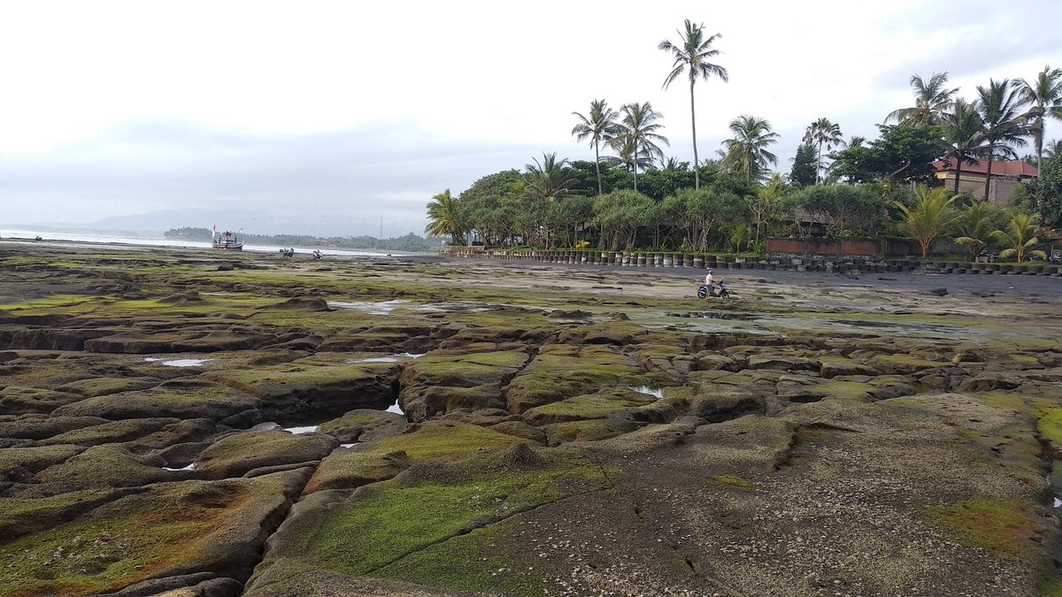 YukmarigoBali's tweet photo. Pekutatan beach #westbali
pic by Bali Local Guide :: https://t.co/cjR8TotFIJ
#pekutatan #KepikiranMantanTerus
#BeraniBerinovasi #FebruaryWish #guideblackproduction #Bali #balitrip #traveling #holiday #beachlife #Beach #Explore #west #privatetourbali #balilocalguide https://t.co/OS8hSQNrJs