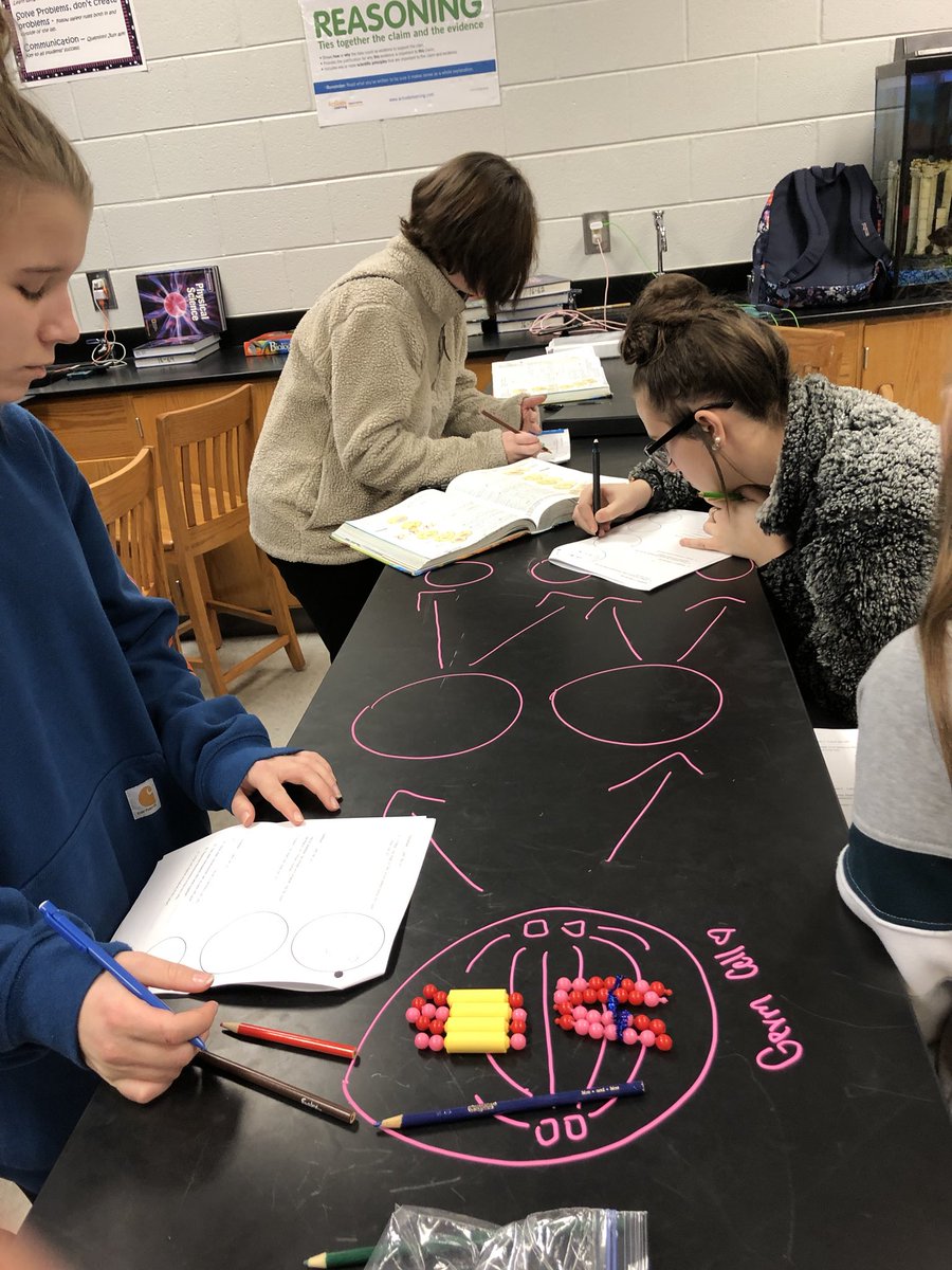 rlggrg's tweet photo. Popbeads, liquid chalk, and meiosis makes for a good day in biology @ModelHighDevils @FloydCoSchools #modelbluedevils #meiosisfun https://t.co/DV0bpNvmPa