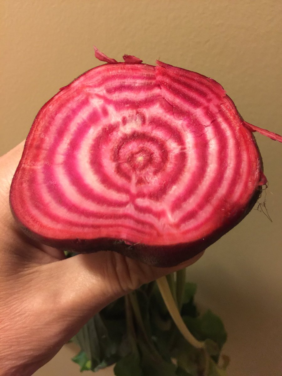 HeirloomJim's tweet photo. Spring is just weeks away, order your seeds today
https://t.co/QjZS89qDxn https://t.co/fTClAhdWRk
