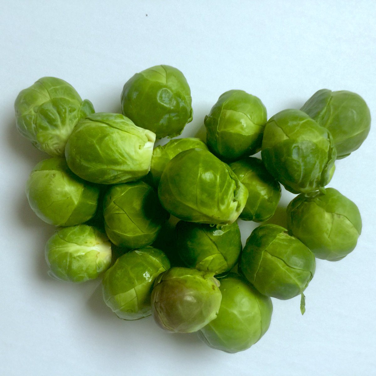 HeirloomJim's tweet photo. Spring is just weeks away, order your seeds today
https://t.co/QjZS89qDxn https://t.co/fTClAhdWRk