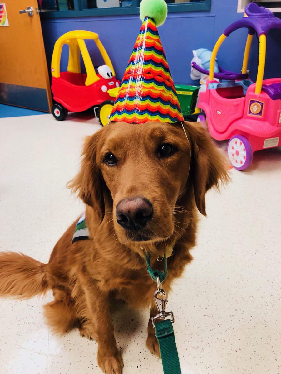 ChildrensMercy's tweet photo. Raise the Ruff!!! This pawty is off the leash! ๐๐๐
Happy birthday, Hunter!! ๐โค๏ธ
#DogsofCMKC #ChildLife
(Just kidding, he & Hope are always on a leash while at work. But we thought it sounded more fun...๐) https://t.co/3jXGBmorUZ