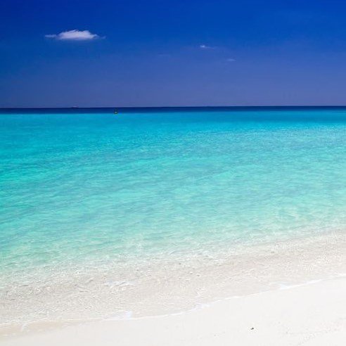 30a's tweet image. Happy Friday. This is he only BLUE we wish for you! .
.
.
#30A #southwalton #graytonbeach #alysbeach #gulfplace #seasidefl #seacrest #sandestin #duneallen #bluemountain #florida ift.tt/2GHZxgn