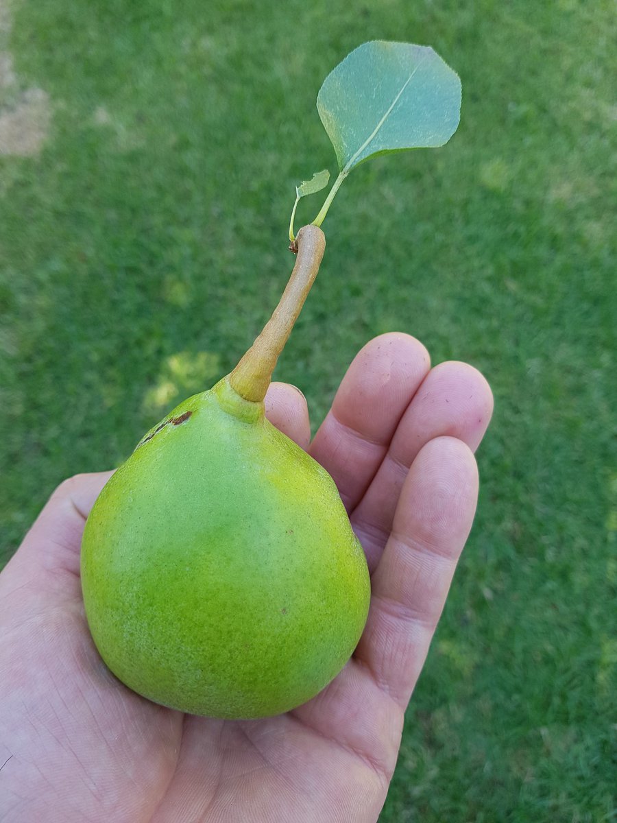 Joe Grbac tweet media