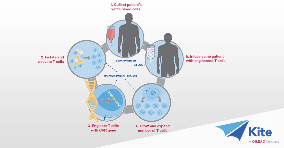 GileadSciences's tweet photo. Interested in learning more about #celltherapy? Check out this infographic to learn about the five main steps involved in targeting cancer at the cellular level. https://t.co/4JetwrB5xi
