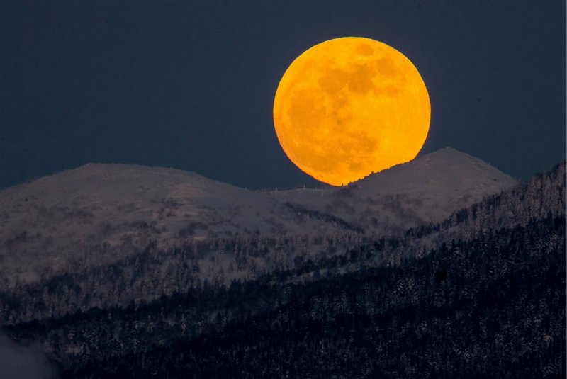wanderlust_tips's tweet photo. 🌕TỔNG HỢP NHỮNG KHOẢNH KHẮC ẤN TƯỢNG NHẤT CỦA HIỆN TƯỢNG "3 TRONG 1": 💥SIÊU TRĂNG - TRĂNG XANH - TRĂNG MÁU💥

➡️Xem thêm chi tiết tại: https://t.co/Pv7fbWOiQb

#sieutrang #trangxanh #trangmau #superbloodbluemoon #moon #wanderlusttips https://t.co/plsWHo9yCC
