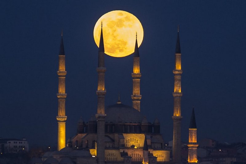 wanderlust_tips's tweet photo. 🌕TỔNG HỢP NHỮNG KHOẢNH KHẮC ẤN TƯỢNG NHẤT CỦA HIỆN TƯỢNG "3 TRONG 1": 💥SIÊU TRĂNG - TRĂNG XANH - TRĂNG MÁU💥

➡️Xem thêm chi tiết tại: https://t.co/Pv7fbWOiQb

#sieutrang #trangxanh #trangmau #superbloodbluemoon #moon #wanderlusttips https://t.co/plsWHo9yCC