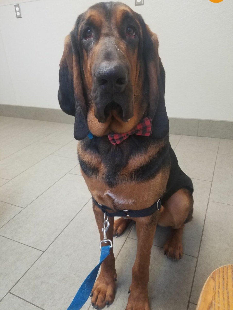 Alden Directory-Even tweet media