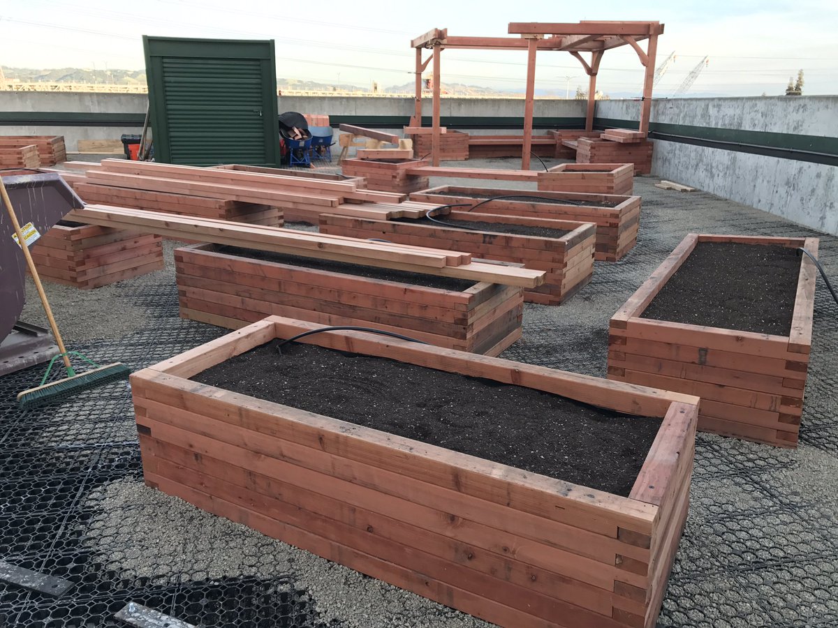 Athletics's tweet photo. Something new being built at the Coliseum for the season...
Literally #RootedInOakland 🥕🍅🥒 https://t.co/7waWgRs7uI