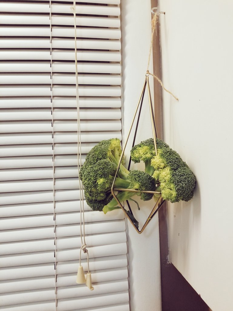 Kayla Jeanson tweet media