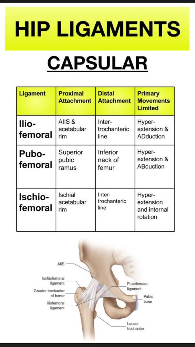 SnapSPT 👻 tweet media