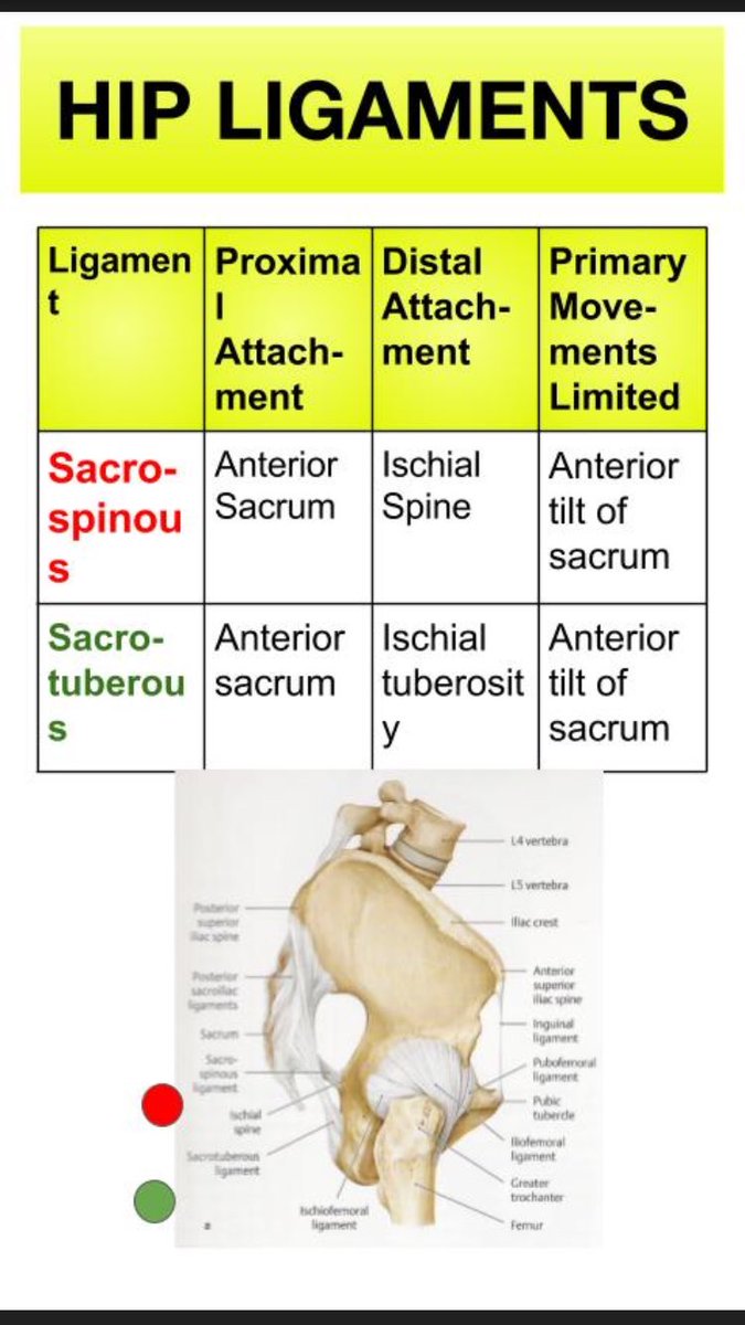 SnapSPT 👻 tweet media