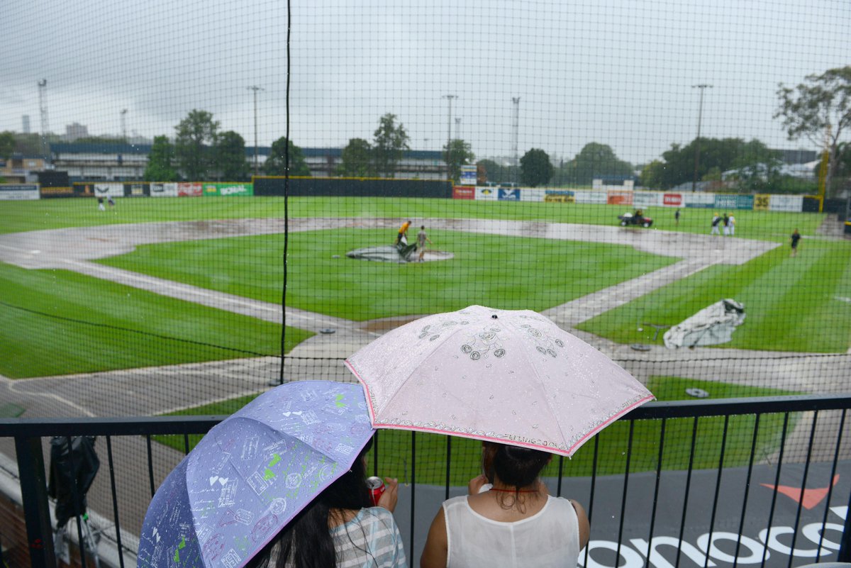 Melbourne Aces âš¾ï¸ ï¸ (@MelbourneAces) | Twitter