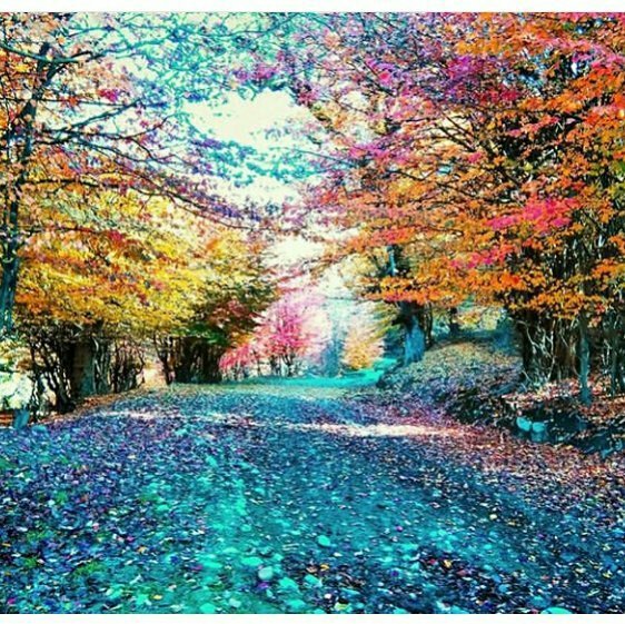 marlen_monro31's tweet photo. #صورة_ملف_شخصي_جديدة https://t.co/TwB9jNo4KU