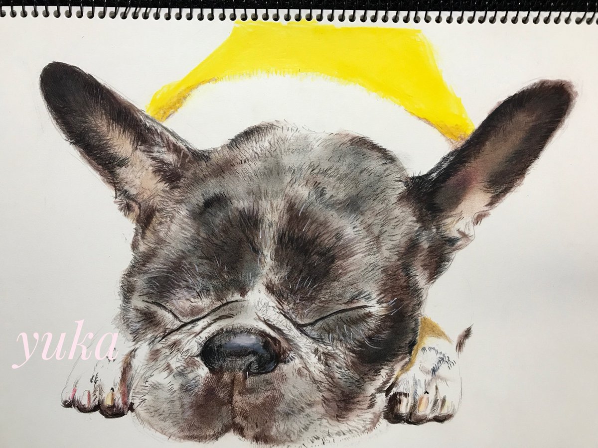 人気No.1】 フレンチブルドッグ フレブル 犬 犬の絵 絵画 原画 