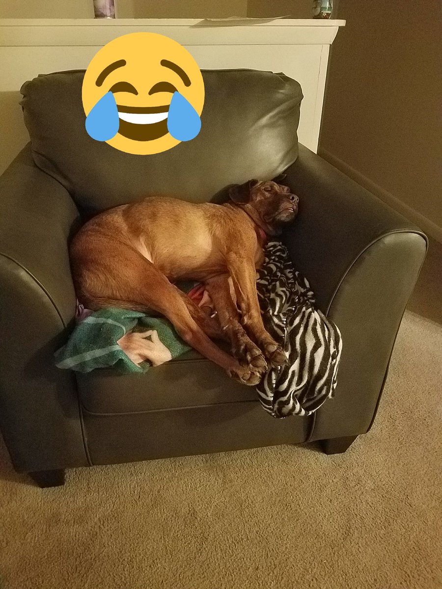 LexiHowhow's tweet image. Baby girl be knocked out😴!!!literally😂😂😂