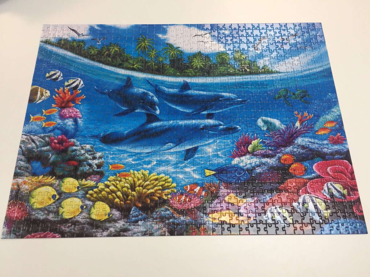 The boarders 1000 piece puzzle is finally finished. Started term 4 2017!