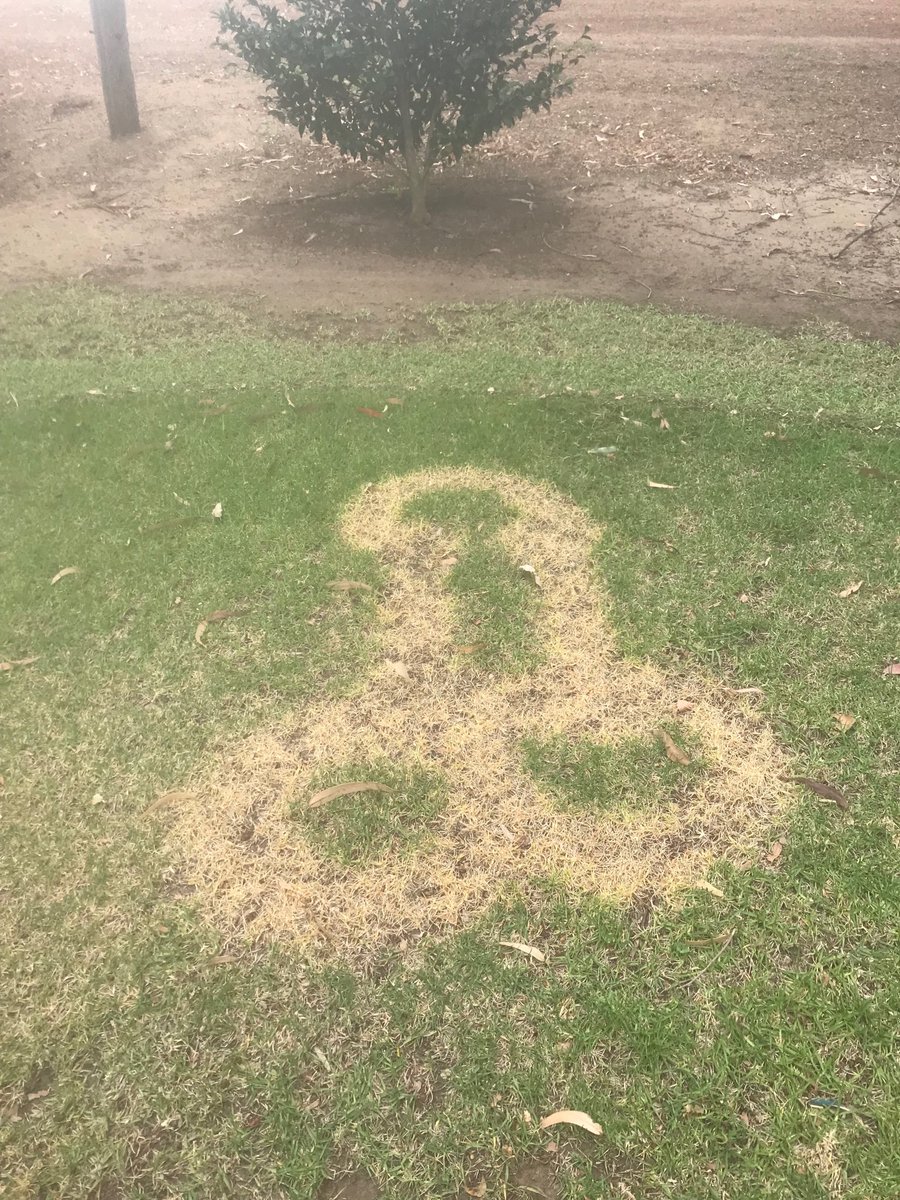 Dale Hanks tweet media