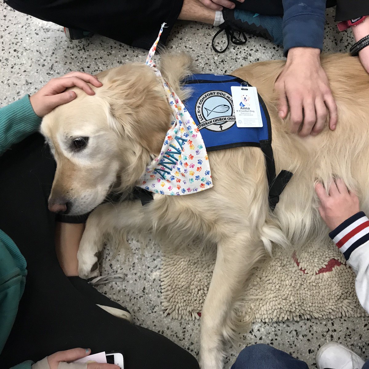 LCCK9Anna's tweet photo. Remembering sharing love and comfort with new friends at Marshall County HS in Benton, KY. Sending more love and prayers. @K9ComfortDogs #MarshallStrong #PrayForMarshall https://t.co/45JmGVmYST