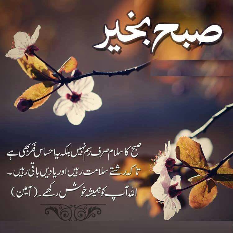 abdullgafor1's tweet photo. https://t.co/yOdHlRDcTy