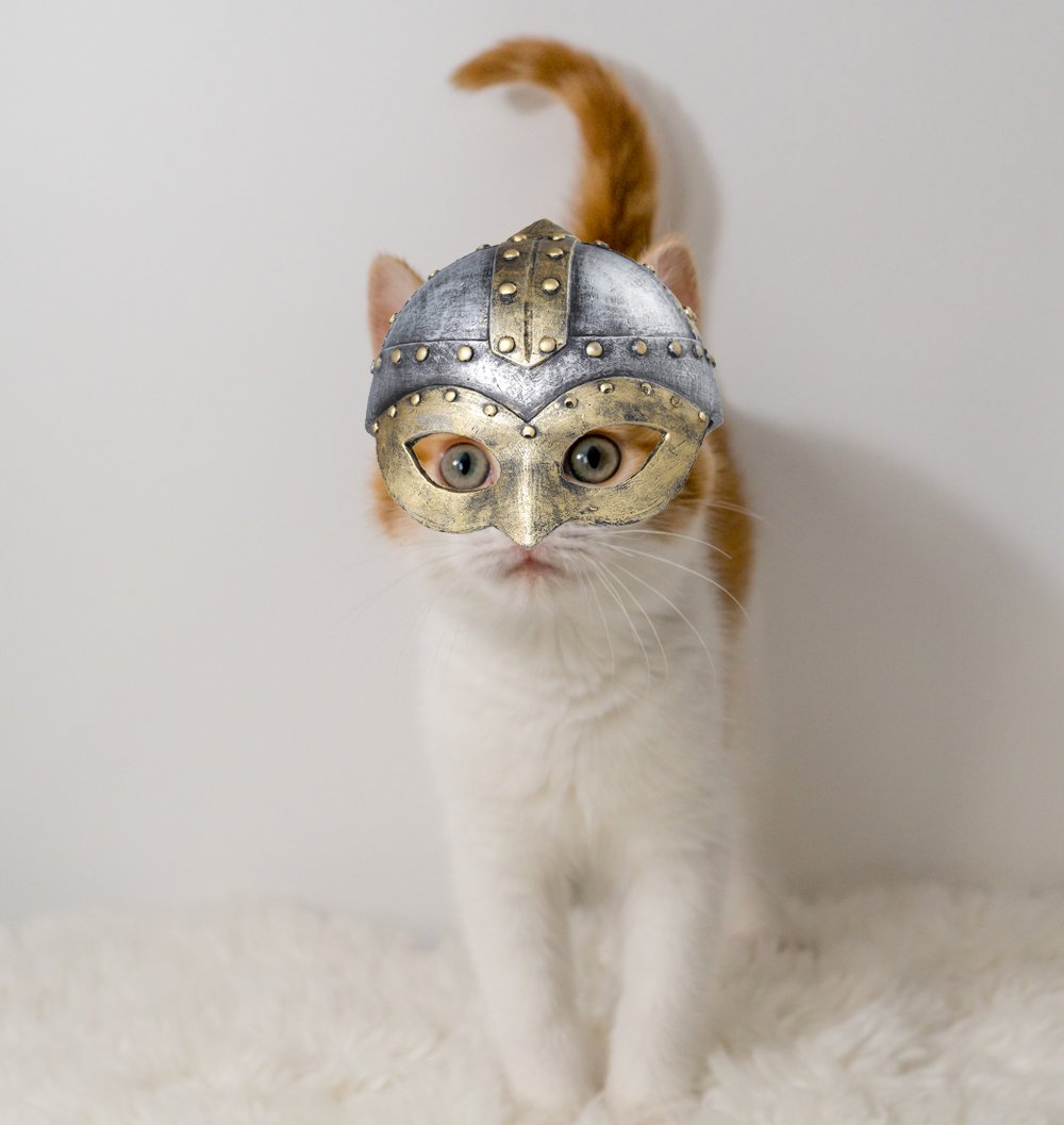 WindigoTP's tweet photo. @kitten_academy 
I can't help but see the pattern on Dalton's face as a scandinavian helmet. https://t.co/yg2aCIYU3o