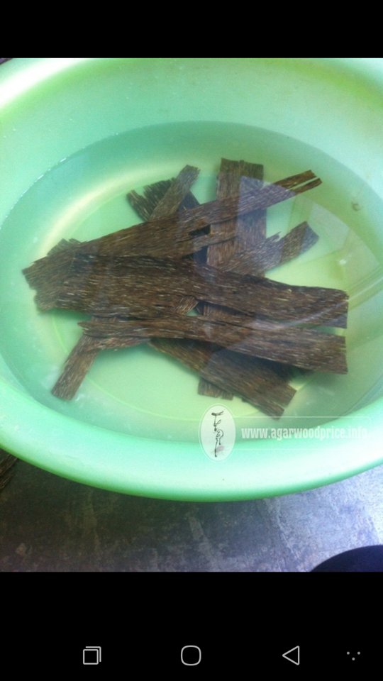 VThDnAnh1's tweet photo. #oudh #oudsticks #oud #pureoil #oudvietnam #doublesuper #materialoudh #oudcoils #goodsmell #goodquality #gaharu #Agarwood #oudoil #ksa 🇸🇦 #kuwait #kuwait_city #dubai #usa #sirlandka #oman #uae🇦🇪 #singapore #jeddah #oman #usa #uk #Germany Contact via Whatsapp: +84899470846 https://t.co/zCSe3KOFAJ