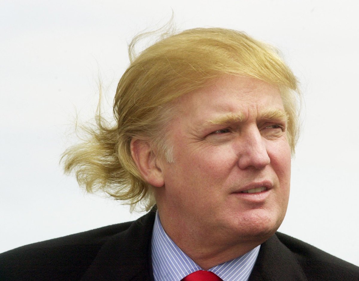 Graftacus's tweet photo. Hey #Nunes, #YoMemoSo bare that trump gave it one of his wigs 🤦🏼‍♂️
#YoMemoJokes https://t.co/XoEIzt3pRz