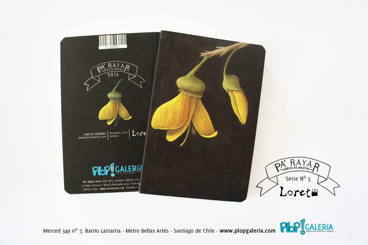 PLOPGaleria's tweet photo. Libretas con ilustraciones que remiten a la ilustración botánica para que tú también te inspires en la naturaleza. Esta es de la ilustrdora Loreto Salinas Ilustradora y presenta un precioso ejemplar de Isla de Pascua https://t.co/ce5PrEKLXt
