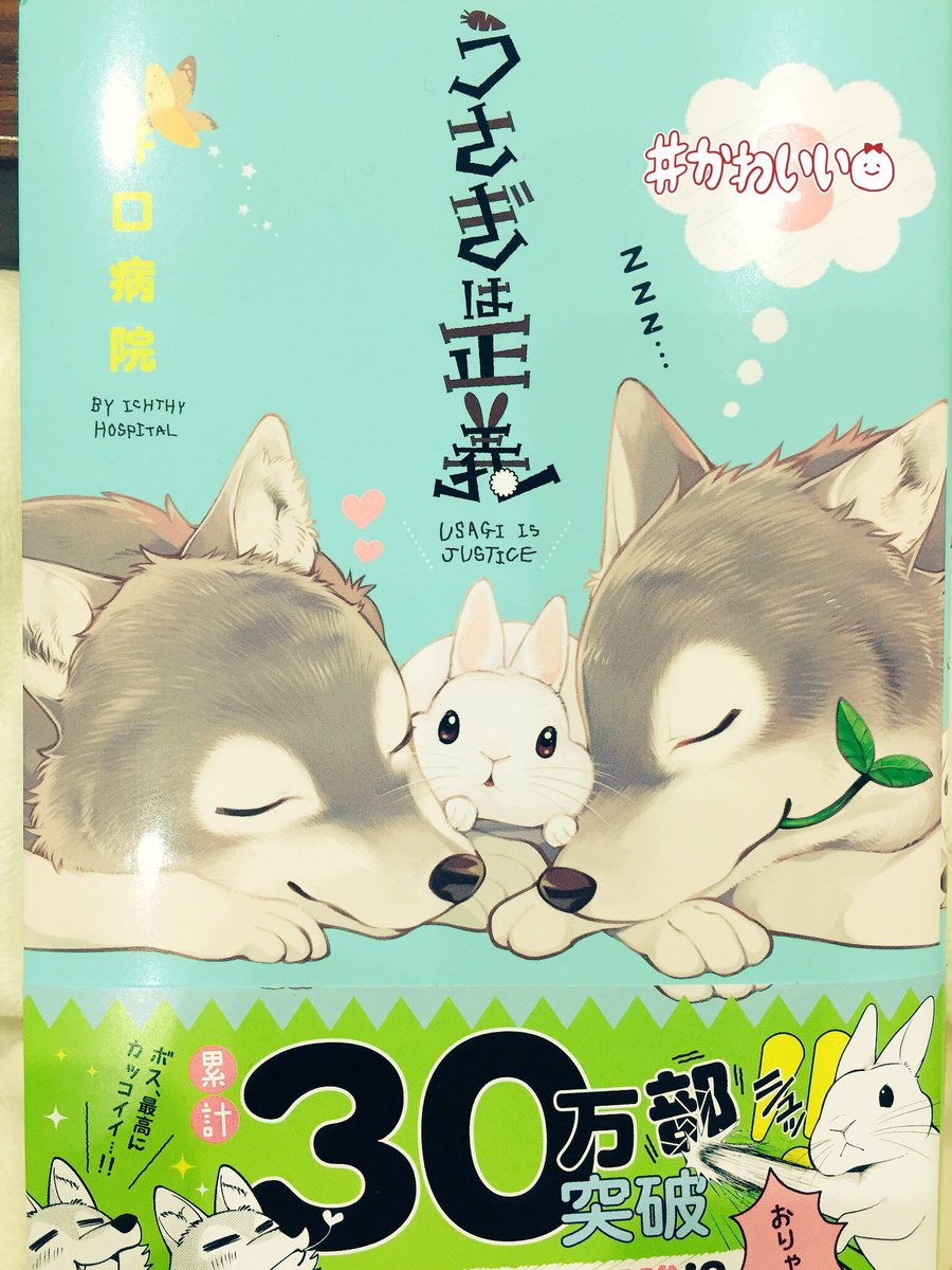 可愛い可愛い「うさぎは正義 3巻」購入しました(〃ω〃)うさぎ好きにはたまらない一冊です!
うちのうさまるさんも、興味しんしんのようで?ボス可愛いね❤️?
#うさぎ 