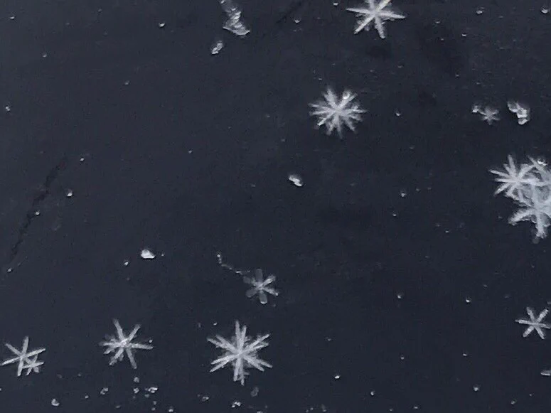 リアルタイムで見れる雪の結晶wヘルメットの上でできる雪の結晶が綺麗すぎる！