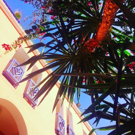 ShakaSurfMoroc's tweet photo. M O R N I N G * V I E W S #morocco #blueskies #bluesky #palms #greenery #nature #surfaccommodation #surfriad #surfers #holiday https://t.co/e4O7F6I8NL