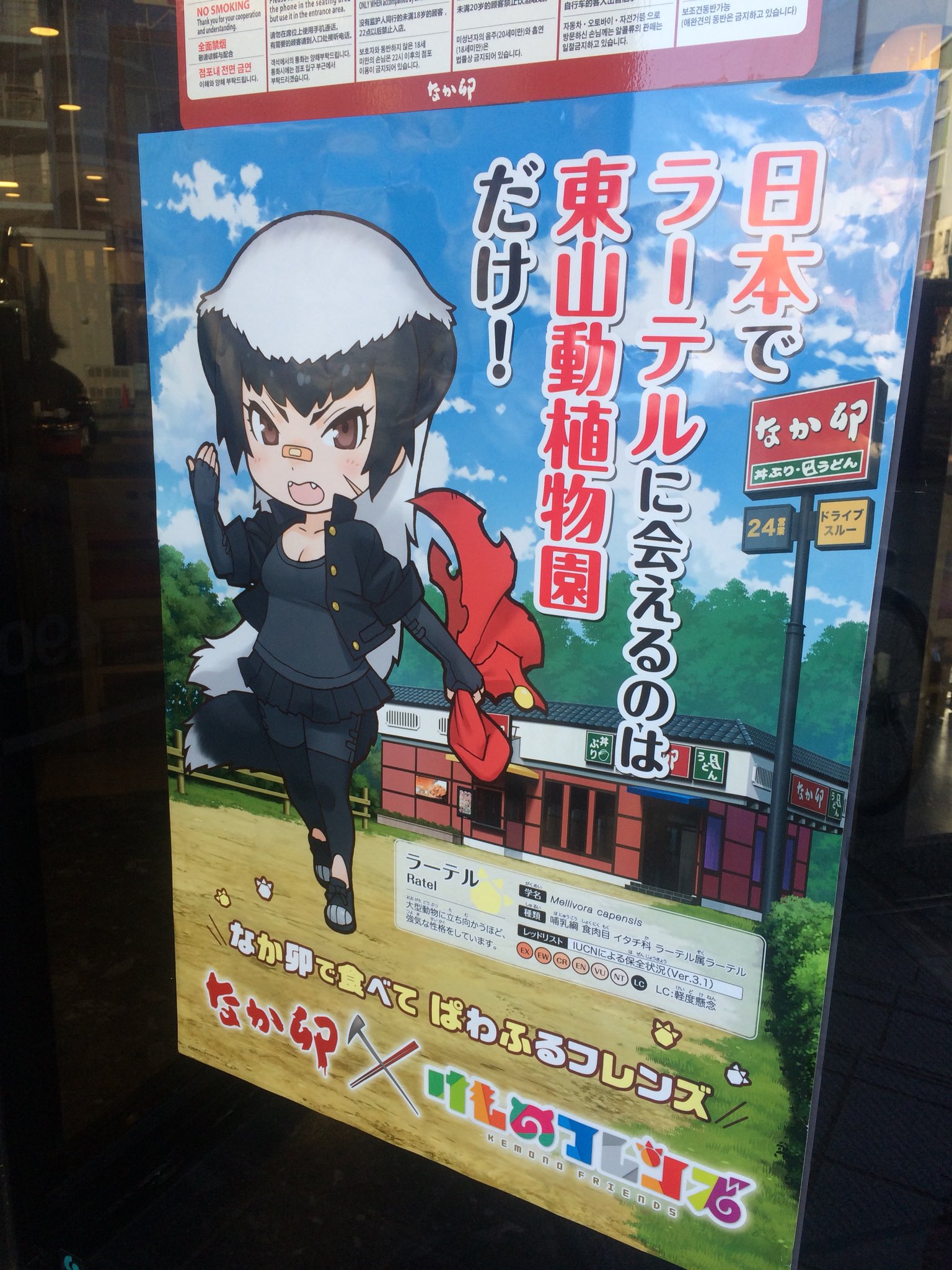 Twitter 上的 かめぽん 東山動物園に行く途中にある なか卯が けもフレとコラボしてた 日本でラーテルに東山動物園だけ っていうポスターは インパクトすごい 他のなか卯にも貼ってあるのかなあ けものフレンズ なか卯 T Co Ysbzw8mtoj Twitter Twitter 上的 かめぽん 東山動物園に行く途中にある なか卯が けもフレとコラボしてた 日本でラーテルに東山動物園だけ っていうポスターは インパクトすごい 他のなか卯にも貼ってあるのかなあ けものフレンズ なか卯 T Co Ysbzw8mtoj Twitter