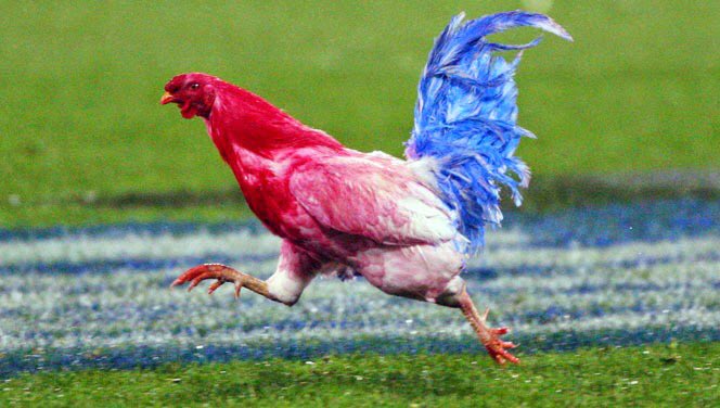 nickheathsport's tweet photo. #PUBSTAT: France have won four of the last five 5/6 Nations Championships that came after Lions tours (‘10, ‘06, ‘02, ‘98). https://t.co/yUyOWWXJtg