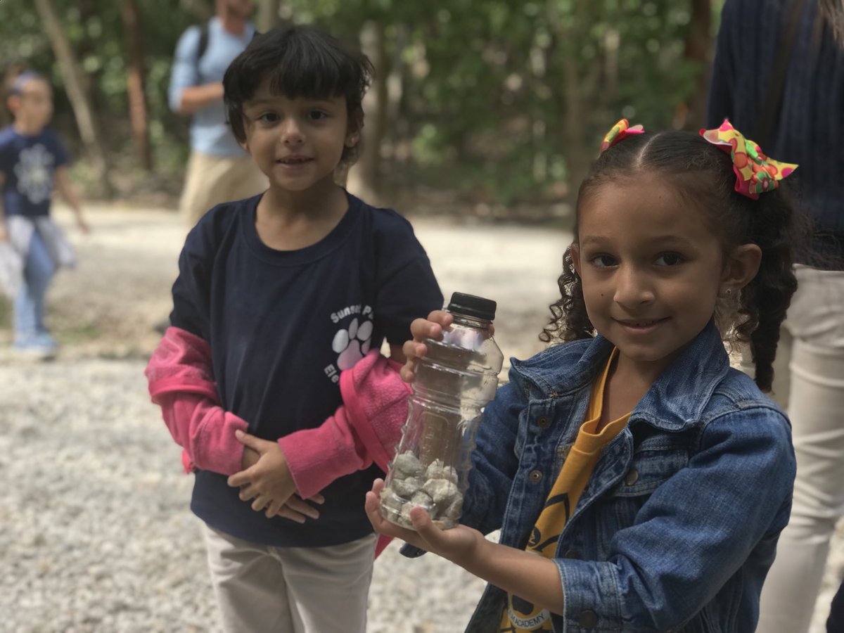 lydis_berriz's tweet photo. Students at Sunset Park Elementary making terrariums and observing different species of lizards at the Deering Estates NEST field trip. @SPEpanthers @STEMDesignation @MiamiSup https://t.co/x19ZxZzYMp