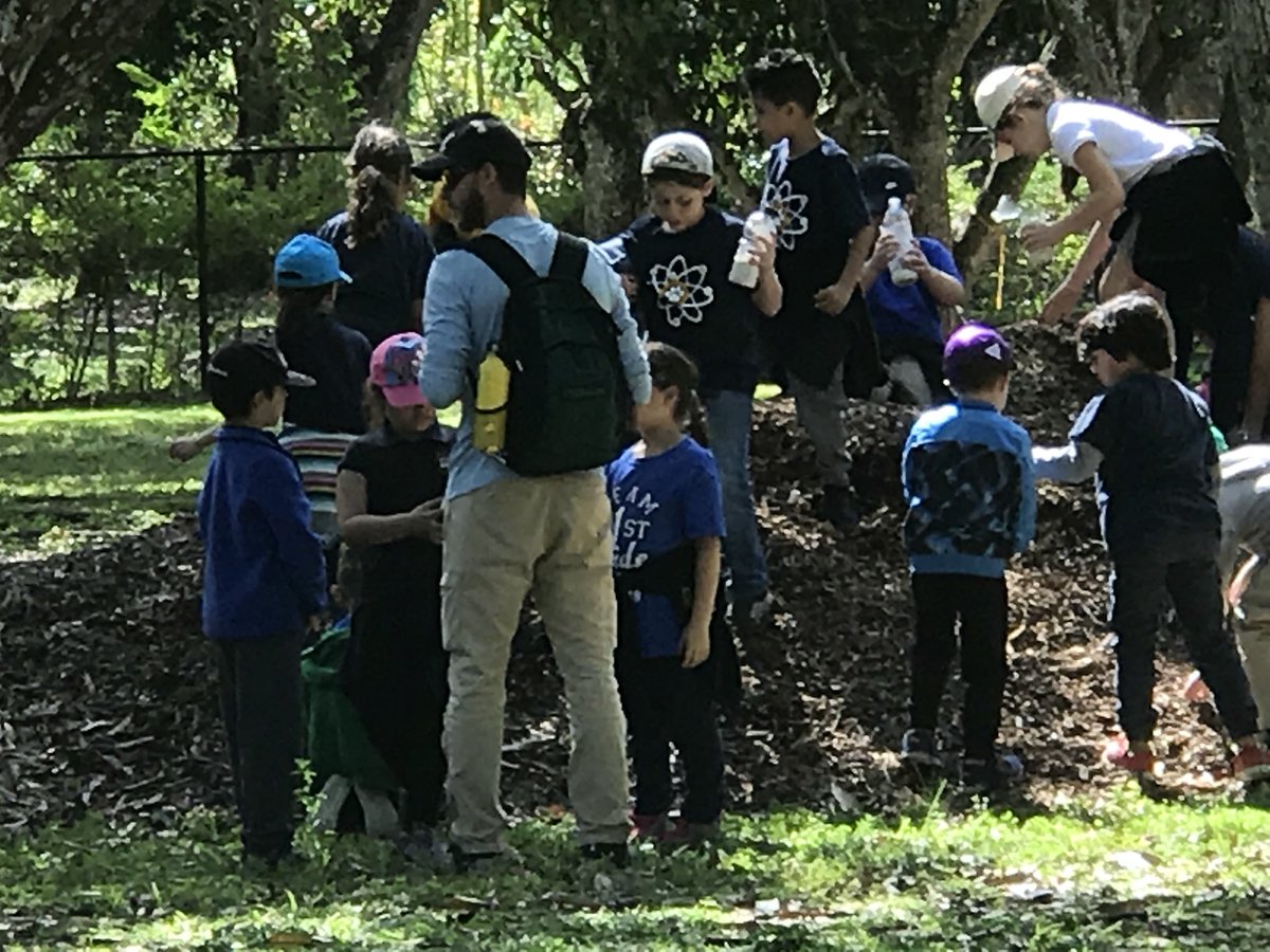 lydis_berriz's tweet photo. Students at Sunset Park Elementary making terrariums and observing different species of lizards at the Deering Estates NEST field trip. @SPEpanthers @STEMDesignation @MiamiSup https://t.co/x19ZxZzYMp