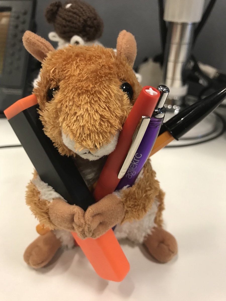 AGMSquirrel tweet media