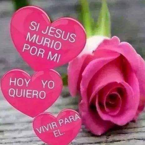 GerreraDe's tweet image. #NuevaFotoDePerfil