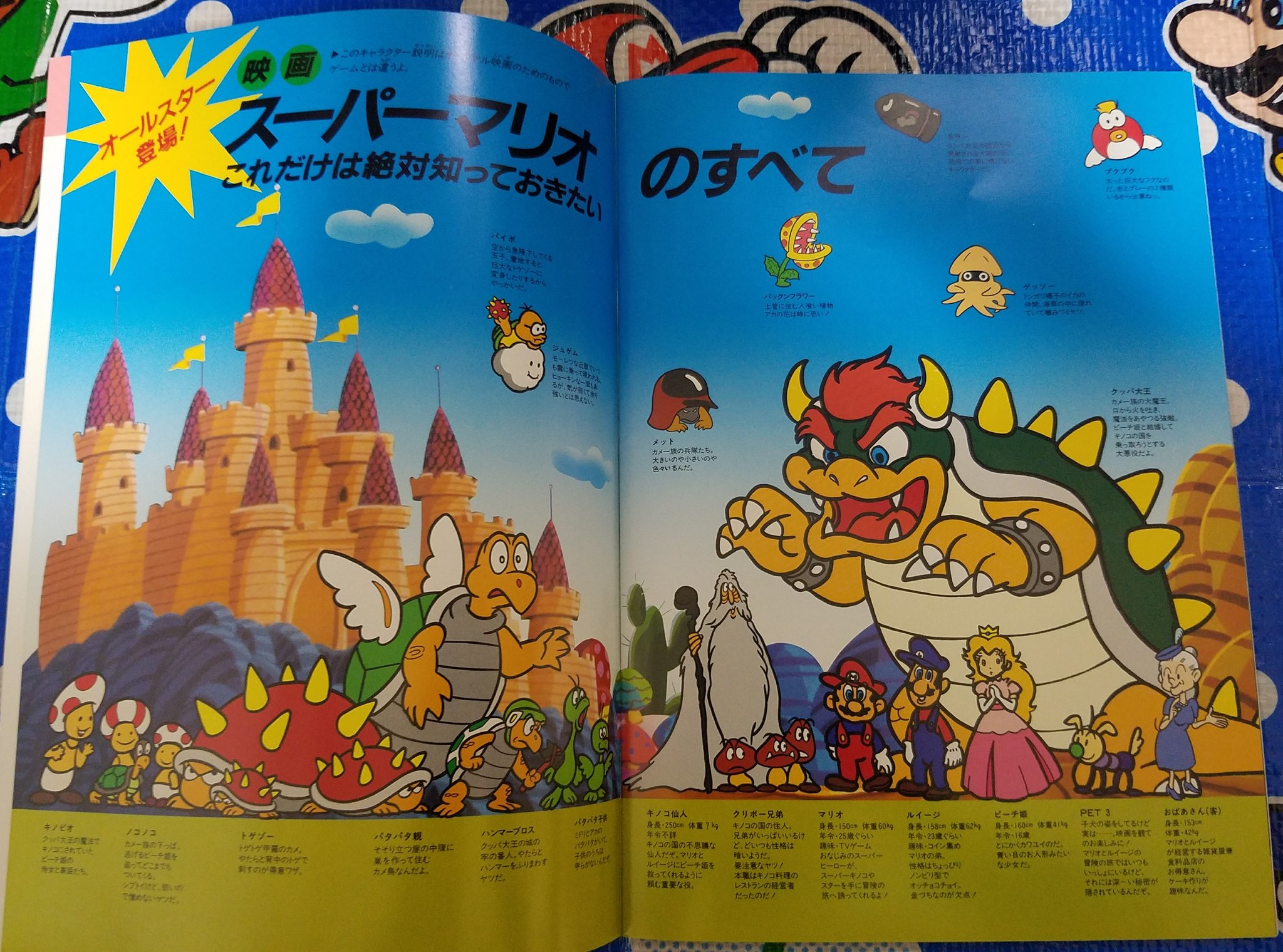 スーパー マリオ ブラザーズ ピーチ姫救出大作戦 スーパー マリオ ブラザーズ ピーチ姫救出大作戦