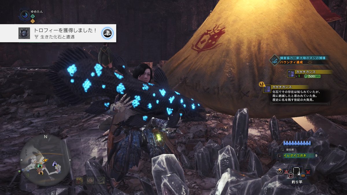 Mhw 新大陸のヌシ ってどこで釣れるの 幻の鳥フワフワクイナより出ねえええ 爆newゲーム速報