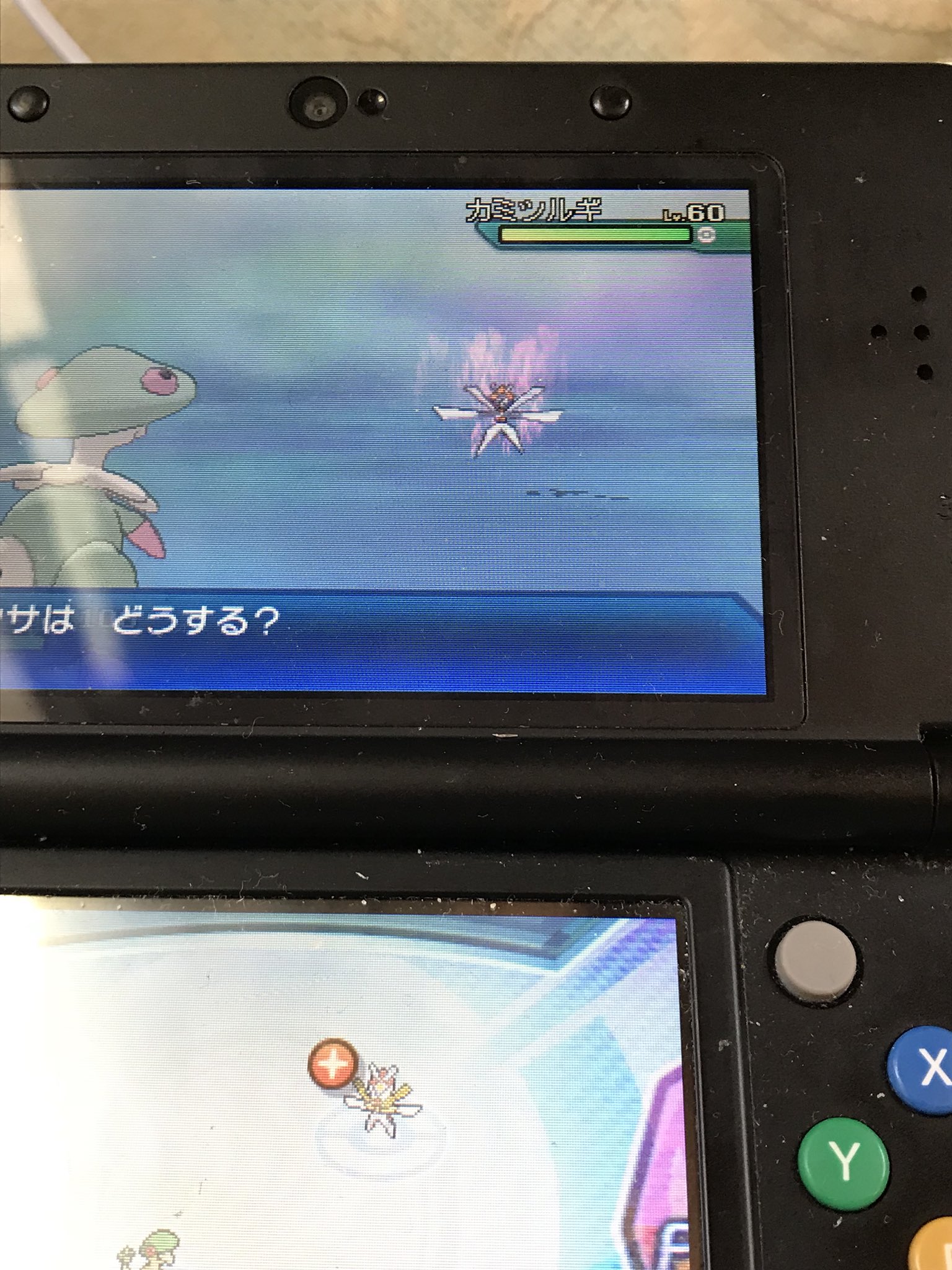 ちくわん 正月飾り ポケモン ウルトラサンムーン ポケモン好きさんと繋がりたい カミツルギ 色違い T Co R3k6vowf85 Twitter