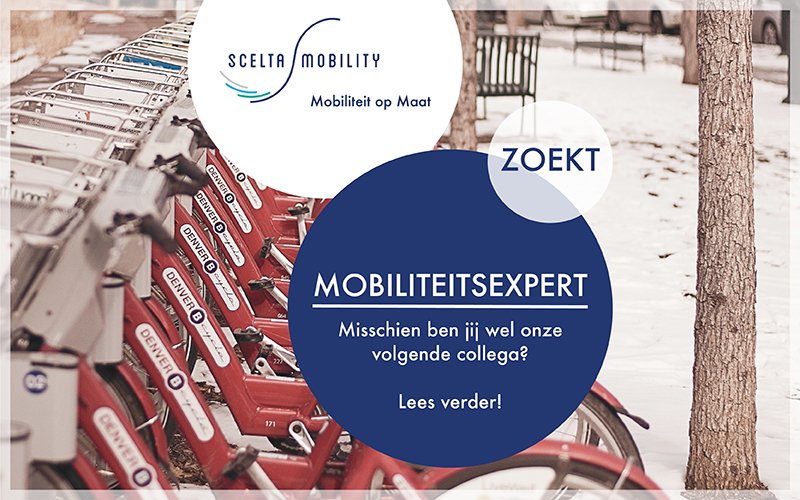 SceltaMobility's tweet photo. Zoekt u een nieuwe uitdaging in de mobiliteitssector? Of kent u iemand? Bekijk onze 2 vacatures via: https://t.co/GBZik2vP4j of retweet deze post! #vacature #mobiliteit https://t.co/R37RcCVyAA