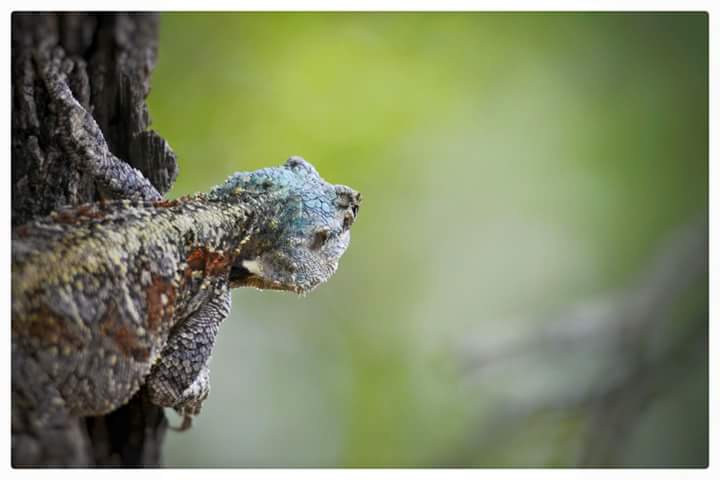 #SaturdayMorning and that means time for #Adventure 
Good Morning friends. ....the #saturdaymorninggroove awaits you in #Hazyview  - lets get to it 
#TravelTheWorld 
tranquilnest.co.za