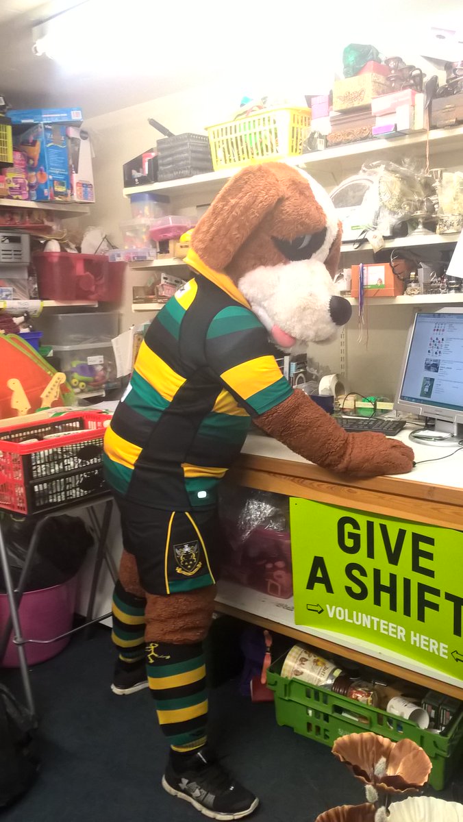 OxfamMidlands's tweet photo. Couple of years back @christianday kindly #gaveashift @oxfamnpton . Yesterday @SaintsComm Bernie the #bernesemountaindog got in on the act donating his time. He was super popular with customers & got involved in all sorts: taking donations, serving customers, steaming, ebaying https://t.co/2QrYyksk0S