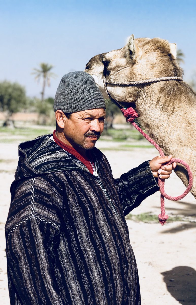 studioVitaliano's tweet photo. Ritratto di un #berbero del Marrakech con #dromader 🐪🇲🇦
#Marrakech #Marocco #esotica #tiraccontoilmarocco #visitmarocco #dardarma #instadarma #Марокко #Марракеш #экзотика #travel https://t.co/aT7jRMfH4K