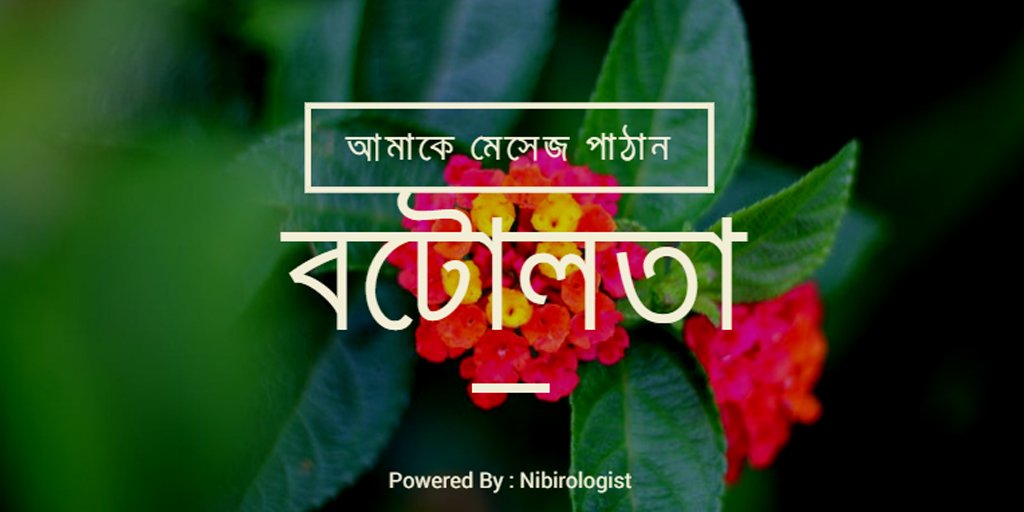 Botolota - বটোলতা tweet media