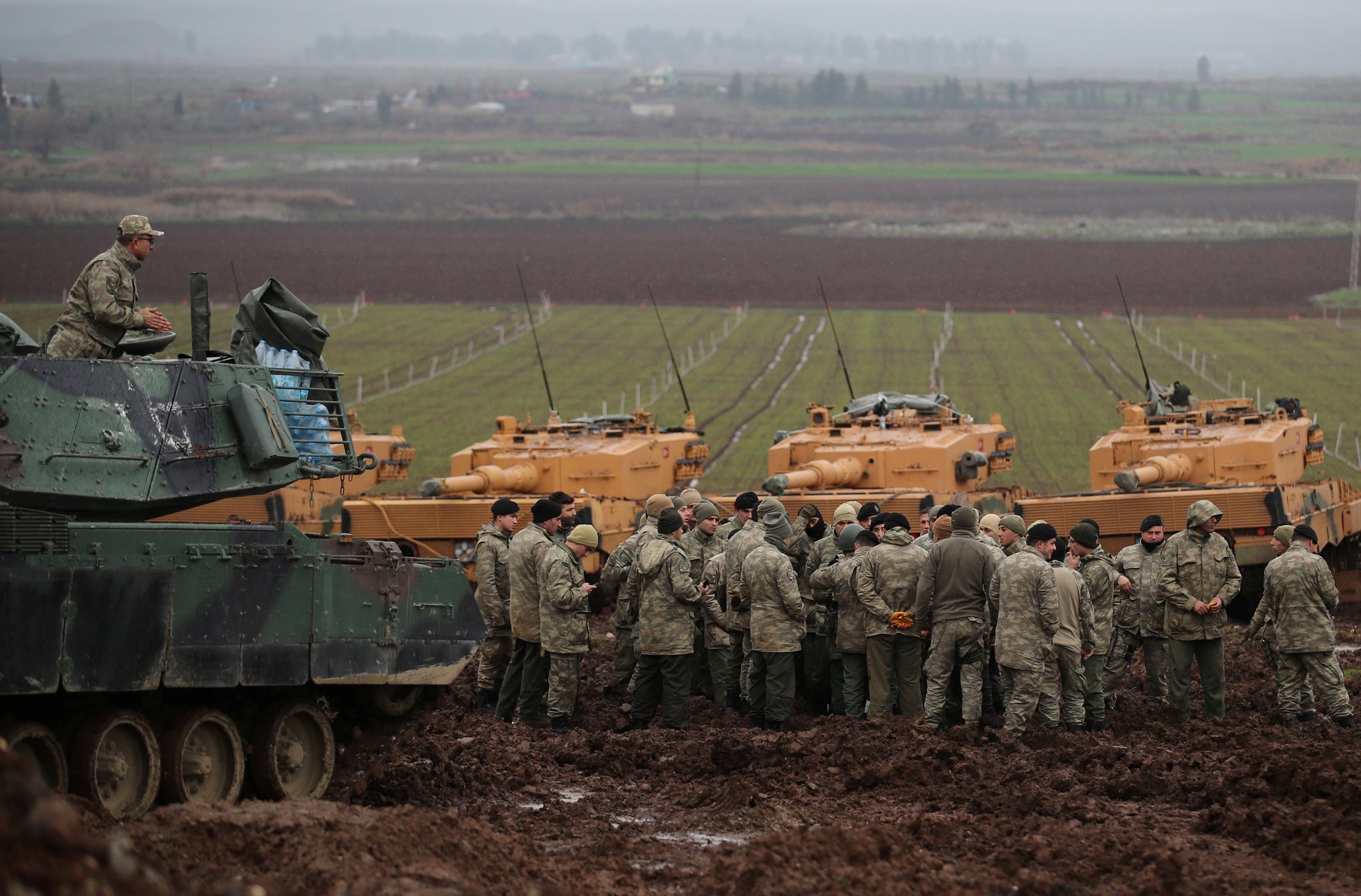 Lakonosun terapötik özellikleri: kullanım endikasyonları 30
