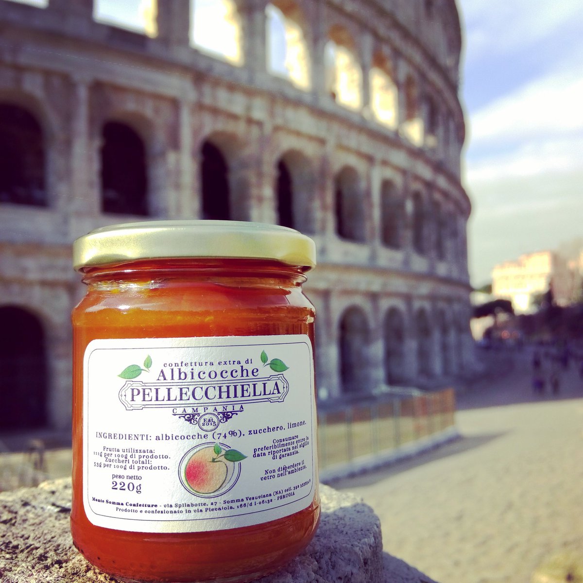 PellecchiellaMS's tweet photo. "Travelling with PELLECCHIELLA"
#rome #italy #colosseo #3febbraio #iloverome #breakfastistheway #colazioneitaliana #pellecchiellamontesomma https://t.co/lkcFYDfcI5