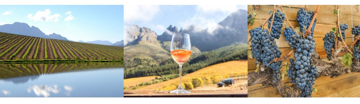 The <a href="/StellWineFest/">Stellenbosch Wine Festival</a> (Stellenbosch Wine Festival), the three-day lifestyle festival showcases hundreds of Stellenbosch Wines from award-winning producers to small boutique wineries is taking place from 23-25 Feb. We have 3 rooms available for the night of the 23rd, don't miss out!
