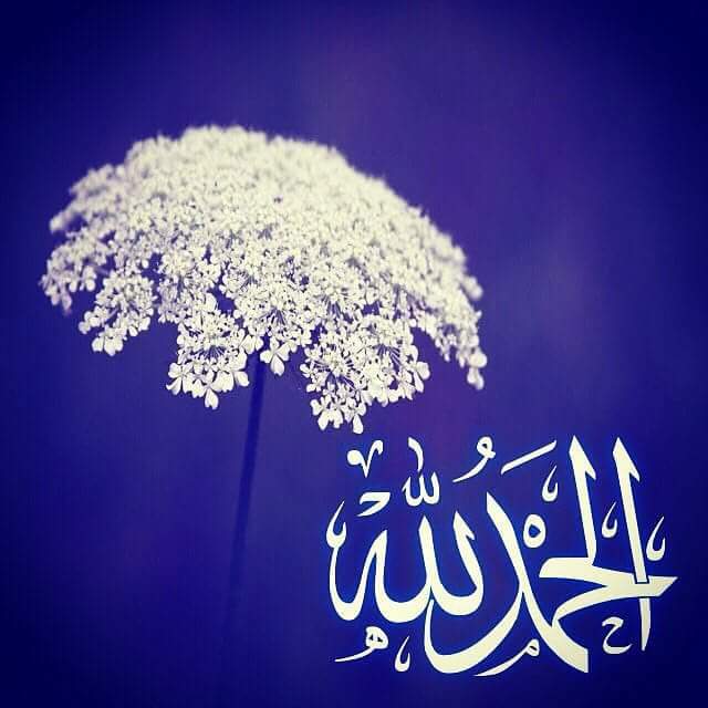 زهــرائيــۃ الهــوى (@aa_313_aa) on Twitter photo لا تتعب نفسك بالتمني
مادام الله يبسط الرزق لمن يشاء ،
أتعب نفسك بالشكر إنّ الله يحب الشاكرين ❤️..
<a href="/yhosien/">هُدى المتـقين</a> لا تتعب نفسك بالتمني
مادام الله يبسط الرزق لمن يشاء ،
أتعب نفسك بالشكر إنّ الله يحب الشاكرين ❤️..
<a href="/yhosien/">هُدى المتـقين</a>